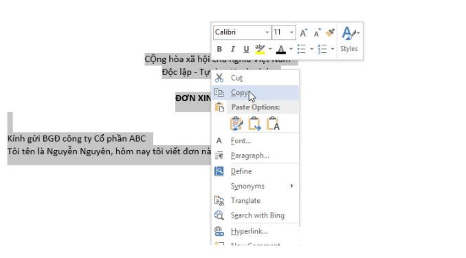 Cách chuyển dữ liệu từ word sang excel giữ nguyên định dạng 1