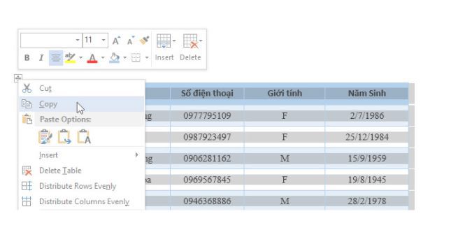 Cách chuyển dữ liệu từ word sang excel giữ nguyên định dạng 4